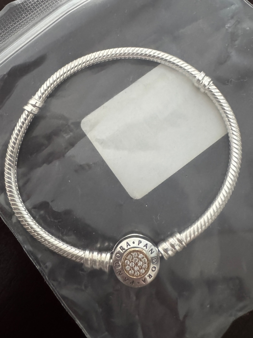 Pandora Chain Bracelet 
New with new two charms ( suitcase and graduation books)